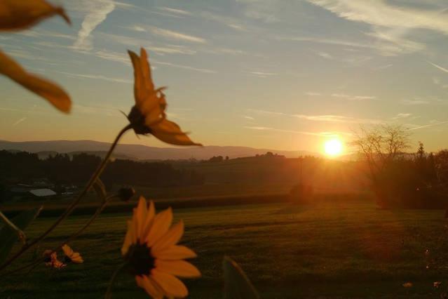 Ferienwohnung Im Bayerischen Wald Tittling ภายนอก รูปภาพ