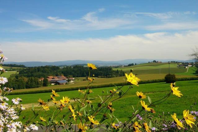Ferienwohnung Im Bayerischen Wald Tittling ภายนอก รูปภาพ